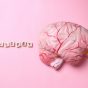 Brain,With,Epilepsy,Lettering,On,Blocks,Isolated,On,Pink,Background.